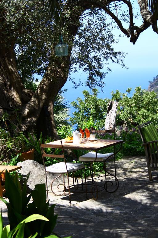 Sa Plana Petit Hotel Estellenchs Εξωτερικό φωτογραφία