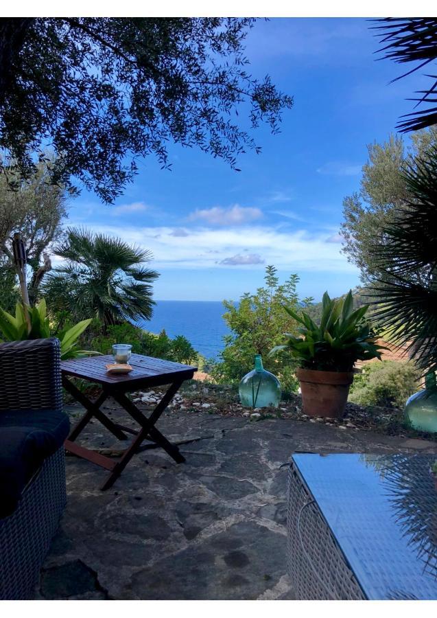 Sa Plana Petit Hotel Estellenchs Εξωτερικό φωτογραφία
