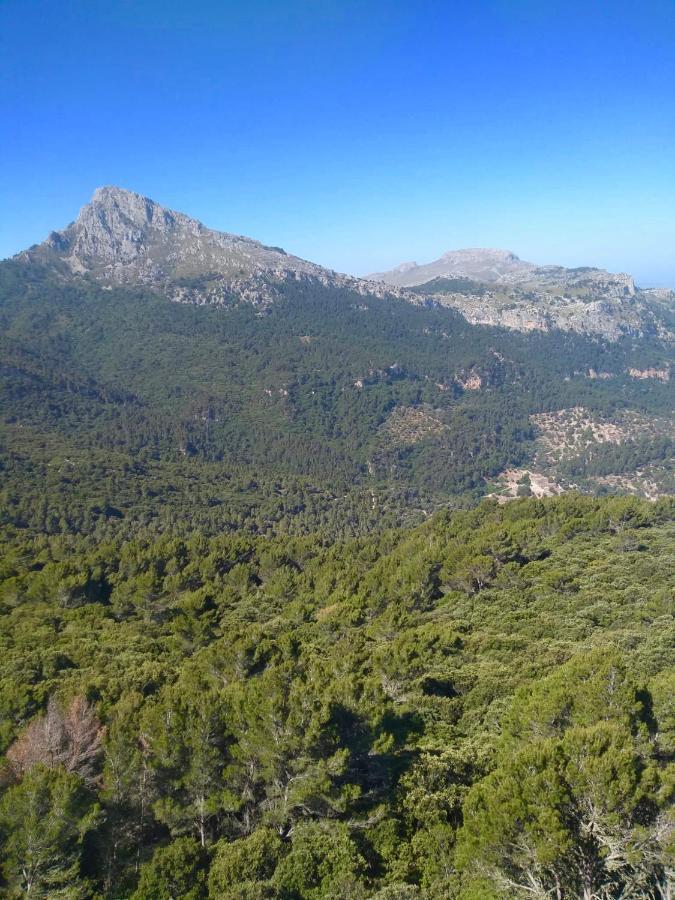 Sa Plana Petit Hotel Estellenchs Εξωτερικό φωτογραφία