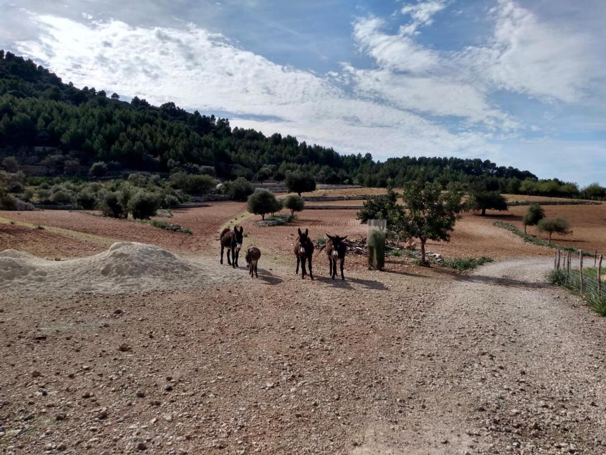 Sa Plana Petit Hotel Estellenchs Εξωτερικό φωτογραφία