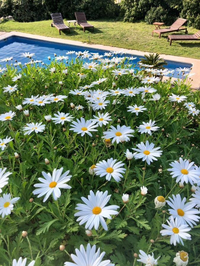 Sa Plana Petit Hotel Estellenchs Εξωτερικό φωτογραφία